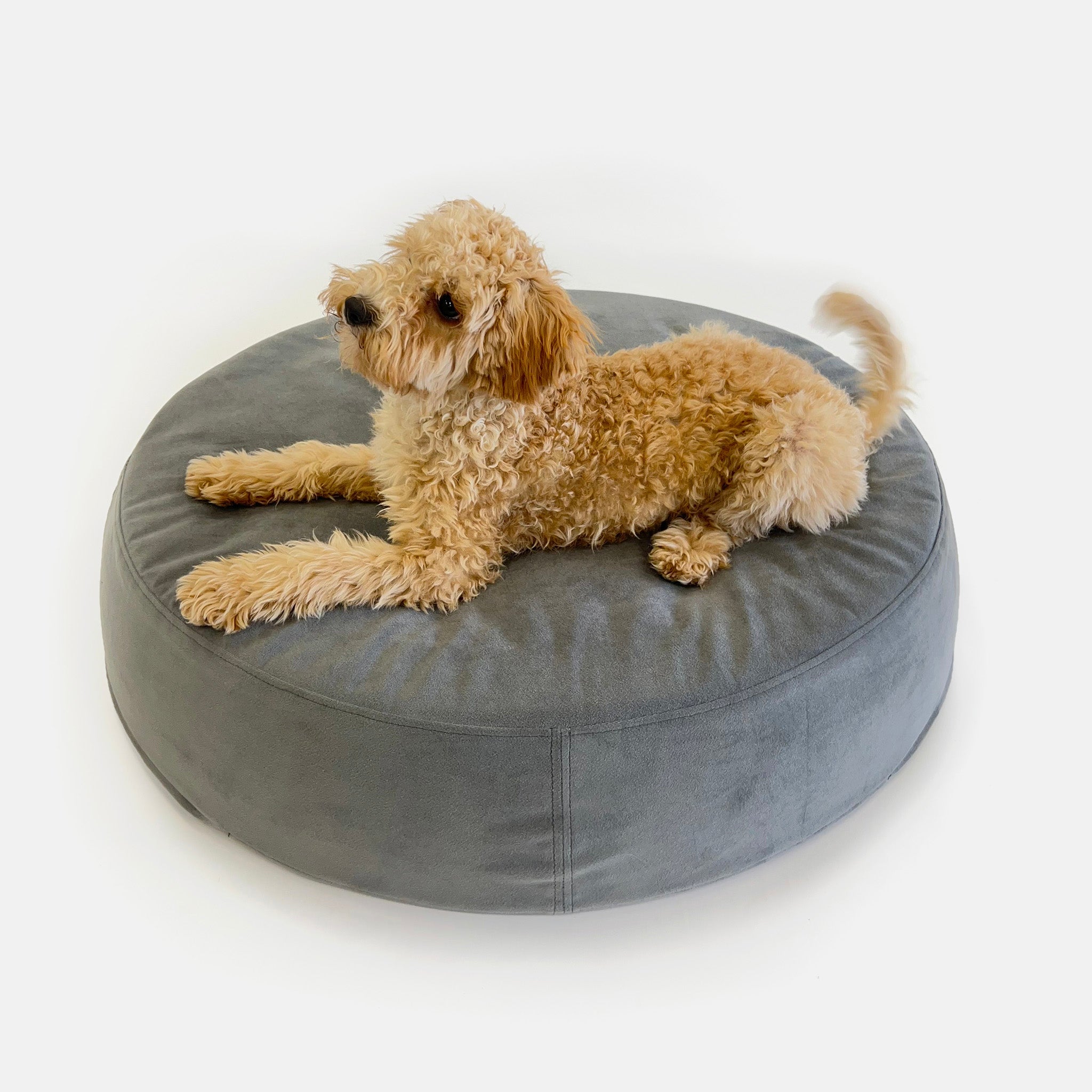 Baxii Pet Bed